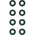Klepsealset REINZ - 12-31753-01
