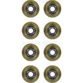 Klepsealset REINZ - 12-35893-01
