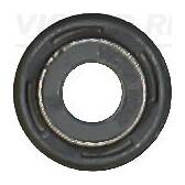 Klepsteal REINZ - 70-12117-00