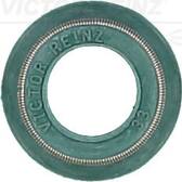 Klepsteal REINZ - 70-25247-00