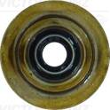 Klepsteal REINZ - 70-31881-00