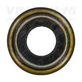 Klepsteal REINZ - 70-36206-00