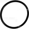 Retentor REINZ - 40-76022-10