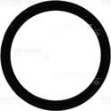 Retentor REINZ - 40-76092-00