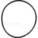 Retentor REINZ - 40-76676-00