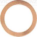 Retentor REINZ - 41-70036-00