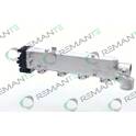 EGR Klep REMANTE - 010-001-000003R