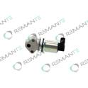 EGR Klep REMANTE - 010-001-000060R