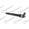 Remanurechnung Injektor REMANTE - 002-003-001666R