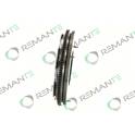 Flywheel REMANTE - 009-001-000045R
