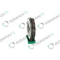 Volant moteur REMANTE - 009-001-000102R