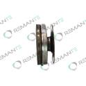 Volant moteur REMANTE - 009-001-000144R