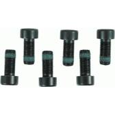 Schroevenset, vliegwiel SACHS - 1874 000 003