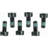 Schroevenset, vliegwiel SACHS - 1874 000 004