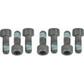 Screw Set, flywheel SACHS - 1874 000 054