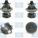 Pompe à eau Saleri SIL - PA659S