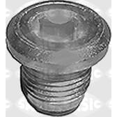 Carterplug SASIC - 2212112