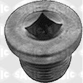 Carterplug SASIC - 3110070