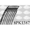 Flerspårsrem SASIC - 6PK1387