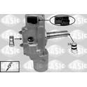 Piantone sterzo SASIC - 7276007
