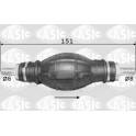 Pump, bränsleförtillförselsystem SASIC - 3980001