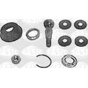 Repair Kit, tie rod end SASIC - 8993113