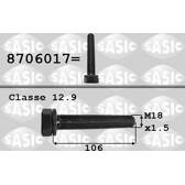 Riemenscheibenschraube SASIC - 8706017