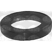Shaft Seal, differential SASIC - 1213443