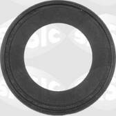 Shaft Seal, differential SASIC - 1950002