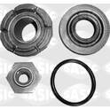 Suspension (amortisseur) SASIC - 1005223