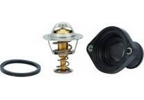 Thermostat, coolant
