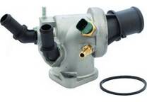 Thermostat, coolant