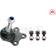 nop
