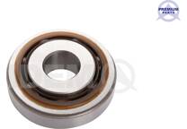 strut bearing (axle)