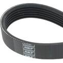 Correa micro v SKF Argentina - 8PK2625