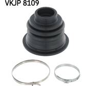 Asmanchetten set SKF - VKJP 8109