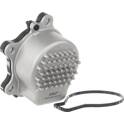 Bomba de agua, refrigeración del motor SKF - VKPC 91874