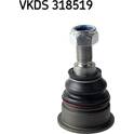 Fuseekogel SKF - VKDS 318519
