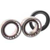 Juego de cojinete de rueda SKF - VKBA 1333