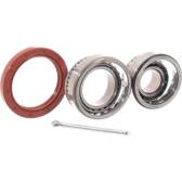 Juego de cojinete de rueda SKF - VKBA 1487