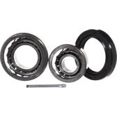 Juego de cojinete de rueda SKF - VKBA 539