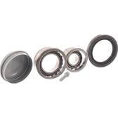 Juego de cojinete de rueda SKF - VKBA 6530