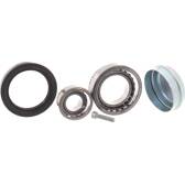 Juego de cojinete de rueda SKF - VKBA 6537