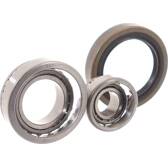 Juego de cojinete de rueda SKF - VKBA 756