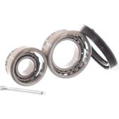 Radlagersatz SKF - VKBA 3255