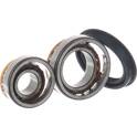 Radlagersatz SKF - VKBA 530