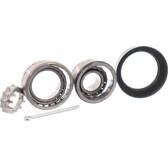 Wiellagerset SKF - VKBA 3519