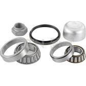 Jogo de rolamentos de roda SNR - R140.25