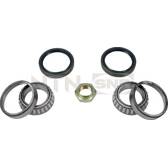 Jogo de rolamentos de roda SNR - R140.42