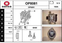 Dynamo / Alternator (Gereviseerd)